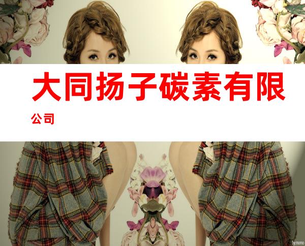 大同扬子碳素有限公司
